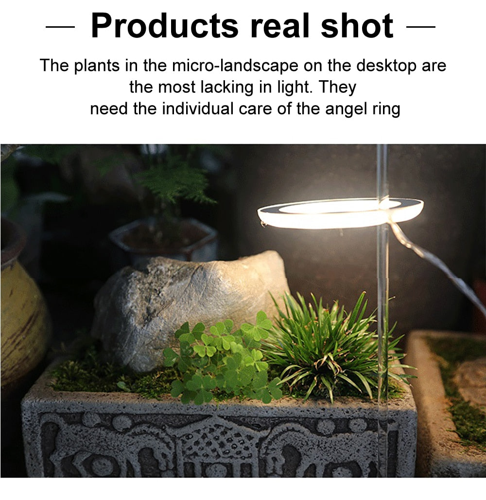GrowHalo - Angel Three Ring Grow Light For Indoor Plants