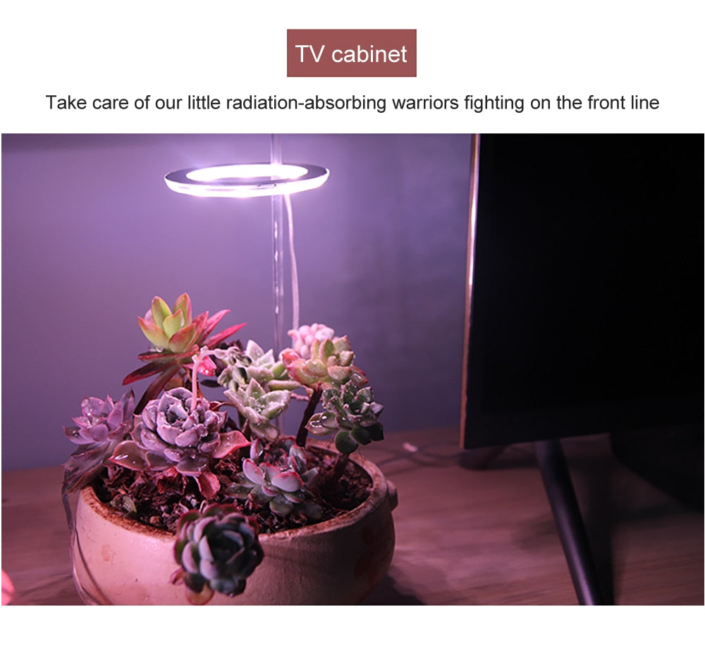 GrowHalo - Angel Three Ring Grow Light For Indoor Plants