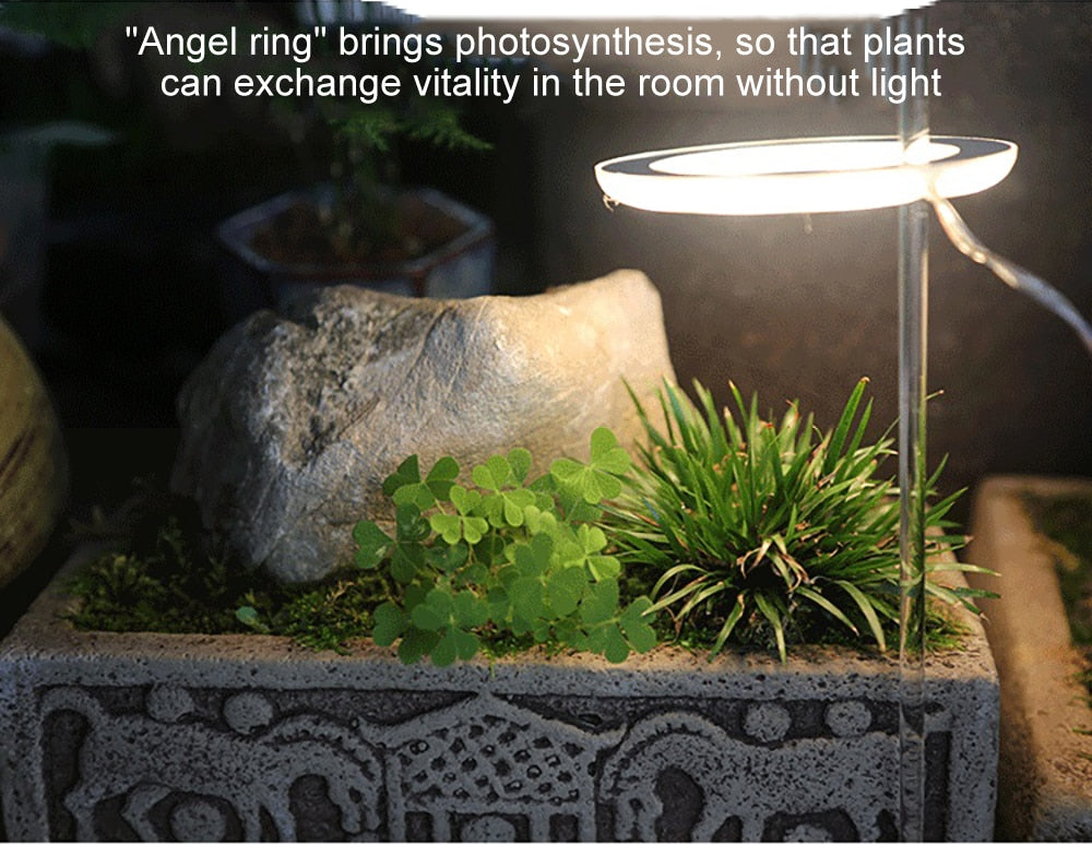 GrowHalo - Angel Three Ring Grow Light For Indoor Plants